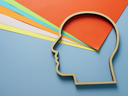 Illustration on a blue background of the outline of a human head in profile overlaid on a fanned out assortment of file folders of different colours